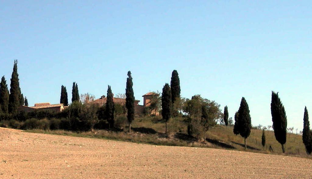 Castello Di Leonina Relais - Adults Only Hotel Siena Luaran gambar